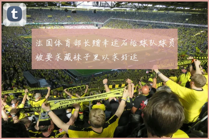 法国体育部长赠幸运石给球队球员被要求藏袜子里以求好运